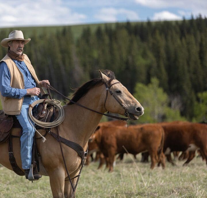 Heartland Season 15 Episode 1