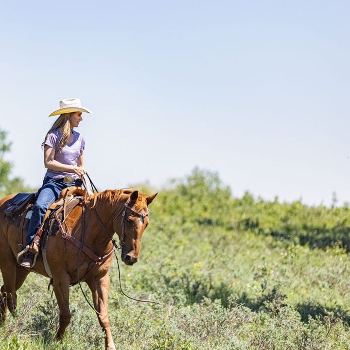 Heartland Episode 1504