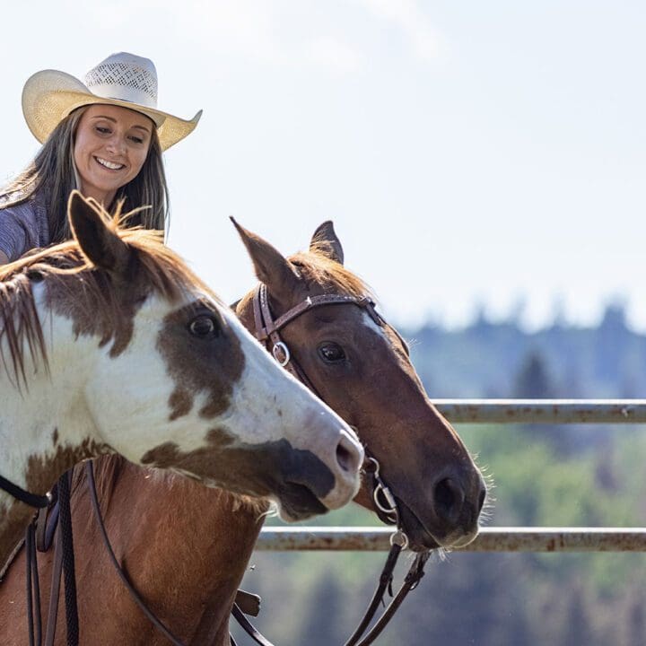 Heartland Episode 1504