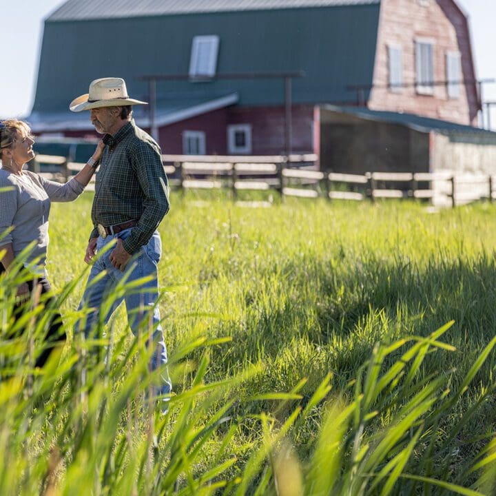 Heartland Episode 1504