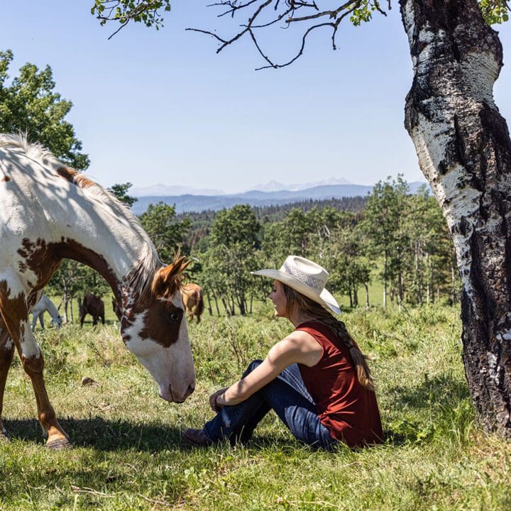 Heartland Season 15 Episode 3