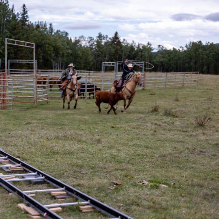 Heartland Season 15 Episode 7