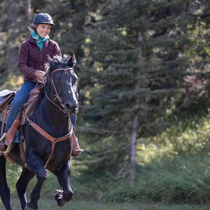 Heartland Season 15 Episode 9