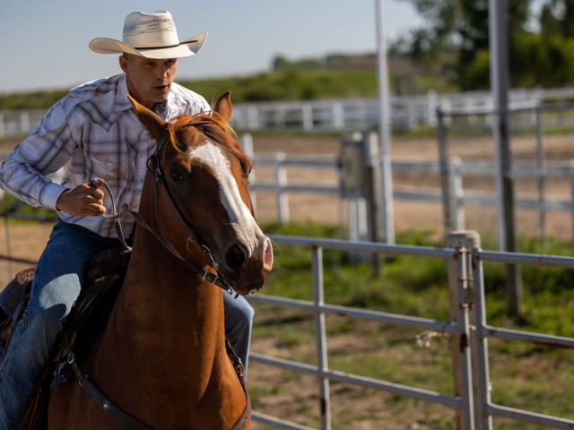 Heartland Season 16 Episode 8