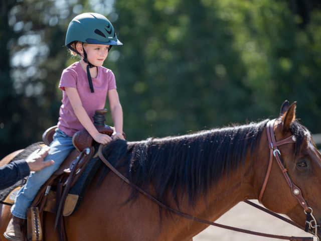 Heartland Season 16 Episode 8